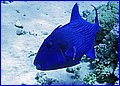 023 IMG_7546.jpg