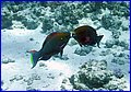 024 IMG_7423.jpg