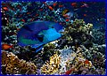 026 IMG_7806.jpg