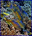 027 IMG_7804.jpg