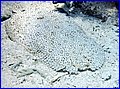 028 IMG_7797.jpg