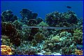 029 IMG_7781.jpg