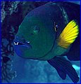 032 IMG_7954.jpg