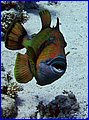 034 IMG_8076.jpg