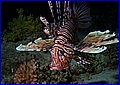 037 IMG_7894.jpg