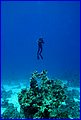 038 IMG_7624.jpg