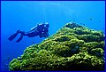 041 IMG_7551.jpg
