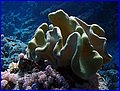 046 IMG_7529.jpg