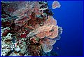 047 IMG_7495.jpg