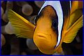 075 IMG_7971.jpg