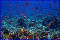 104 IMG_7764.jpg