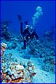 122 IMG_7618.jpg