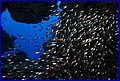 135 IMG_8152.jpg