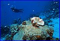 136 IMG_8161.jpg