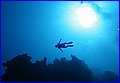 137 IMG_8177.jpg