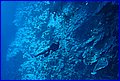 140 IMG_8186.jpg