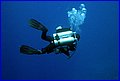 141 IMG_8210.jpg