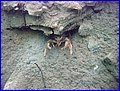 IMG_4159.JPG