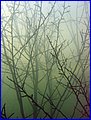 IMG_4167.JPG