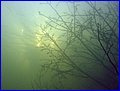IMG_4168.JPG