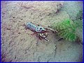 IMG_4193.JPG