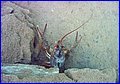IMG_4196.JPG
