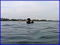 IMG_4214.JPG
