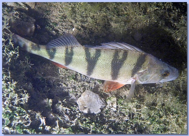CRW_4644.jpg