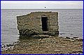 IMG_5490.JPG