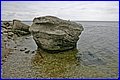 IMG_5495.JPG