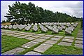 IMG_5501.JPG