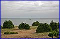 IMG_5506.JPG