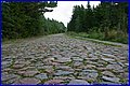 IMG_5517.JPG
