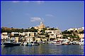 IMG_5748.JPG