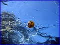 IMG_5981.JPG