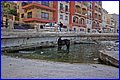 IMG_6033.JPG