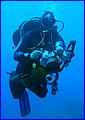IMG_8769.JPG