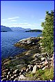 IMG_0620.JPG