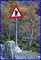 IMG_0702.JPG