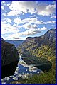 IMG_0905.JPG