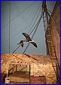 IMG_1261.JPG