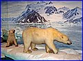 IMG_1310.JPG