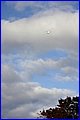 IMG_1421.JPG