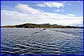 IMG_0204.JPG