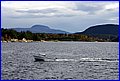 IMG_0217.JPG