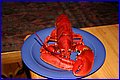 IMG_0253.JPG