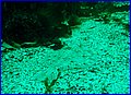IMG_9234.JPG