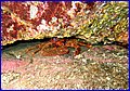 IMG_9476.JPG