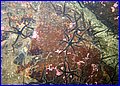 IMG_9555.JPG