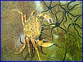 IMG_9578.JPG